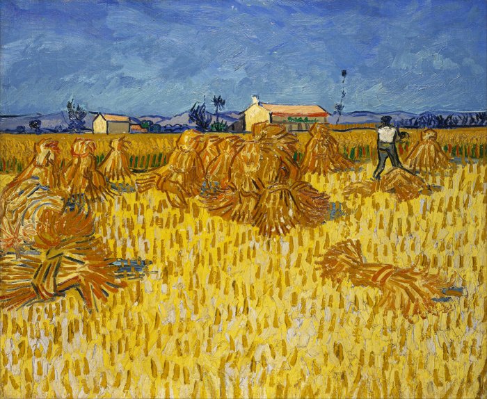 Obraz Vincent Van Gogh Zbiór kukurydzy w Prowansji