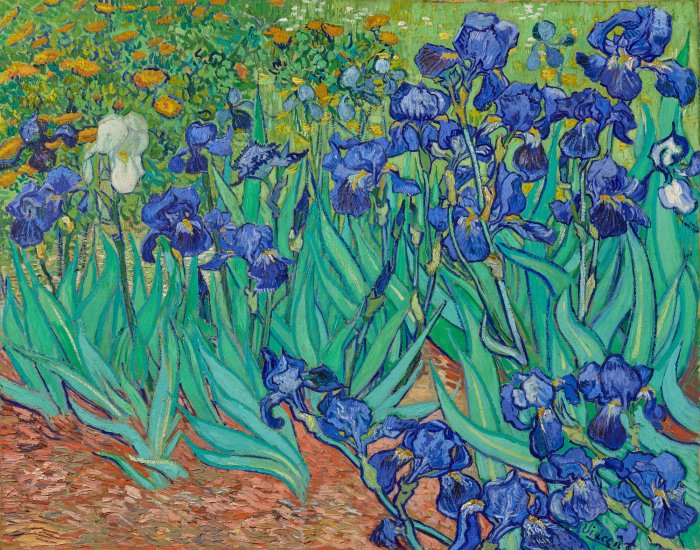 Obraz Vincent Van Gogh Irysy