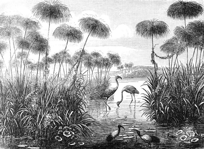 Obraz Wysoka trawa i ptaki przy stawie vintage