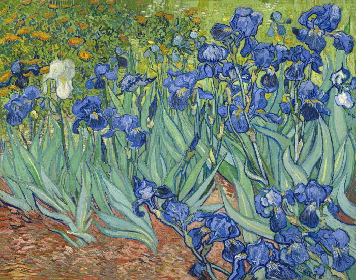 Obraz Vincent van Gogh  Irysy 1889 postimpresjonizm