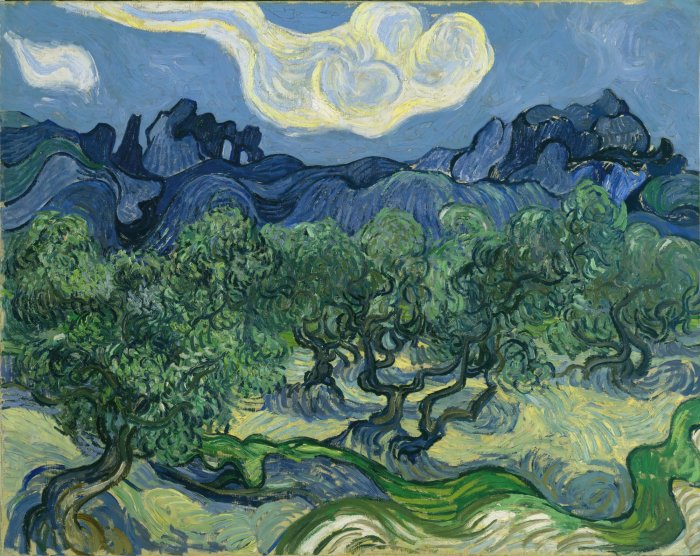 Obraz Van Gogh Drzewa oliwne 1889