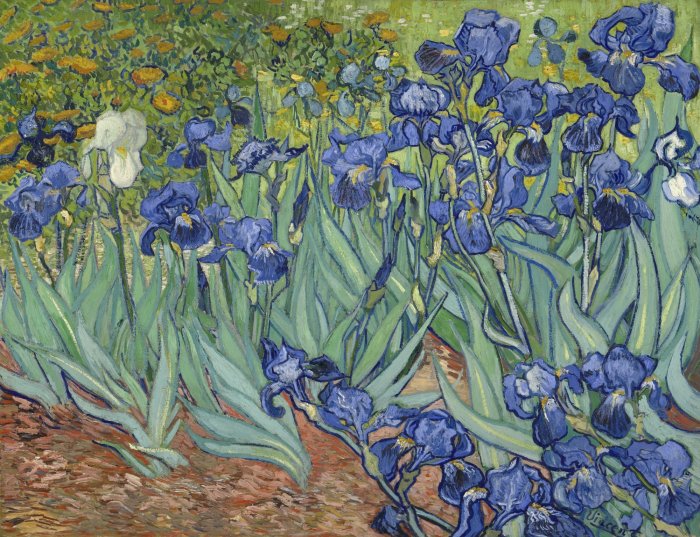 Obraz Irysy Vincent van Gogh 1889