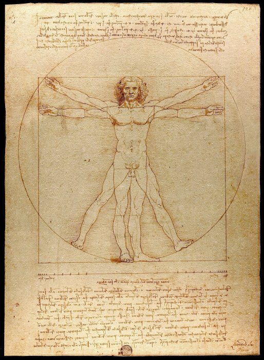 Obraz Leonardo da Vinci Człowiek witruwiański